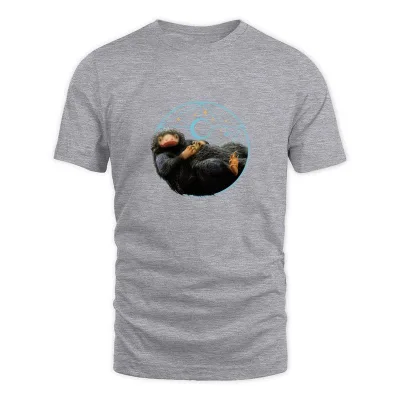 Men's Grey Fantastic Beasts Niffler With Gold Coins T-Shirt